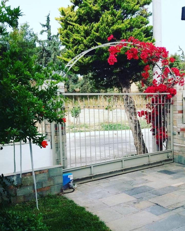 Fantastic Villa, A 5 Minute Drive From The Beach! Atene Esterno foto