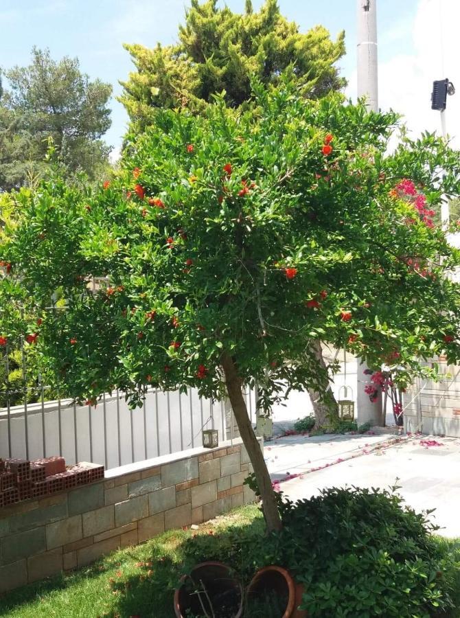 Fantastic Villa, A 5 Minute Drive From The Beach! Atene Esterno foto