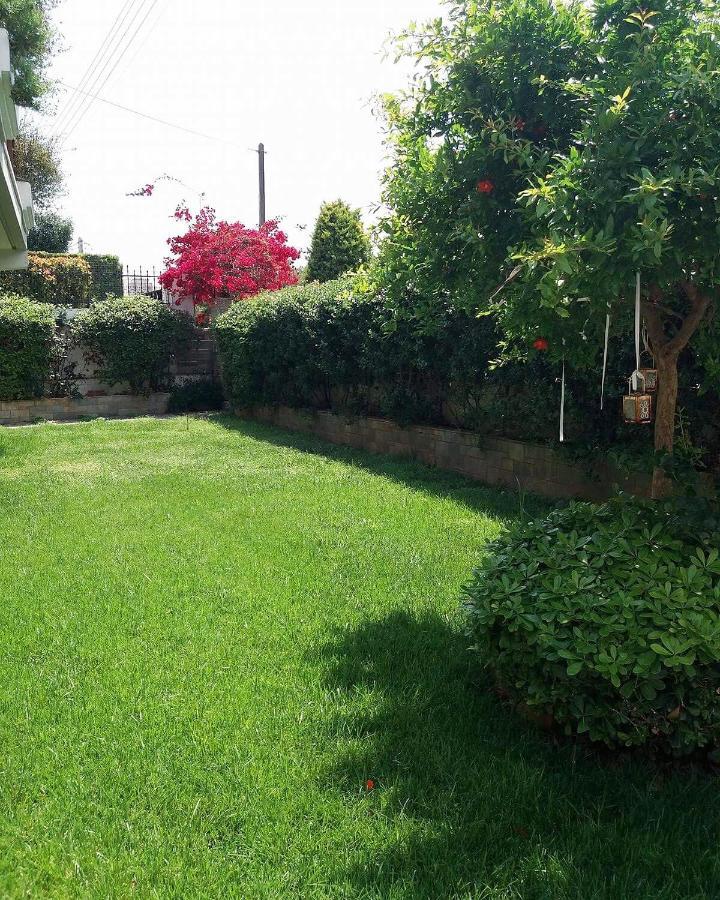 Fantastic Villa, A 5 Minute Drive From The Beach! Atene Esterno foto