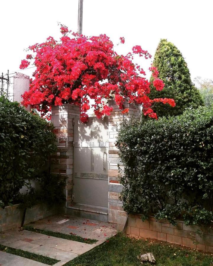 Fantastic Villa, A 5 Minute Drive From The Beach! Atene Esterno foto